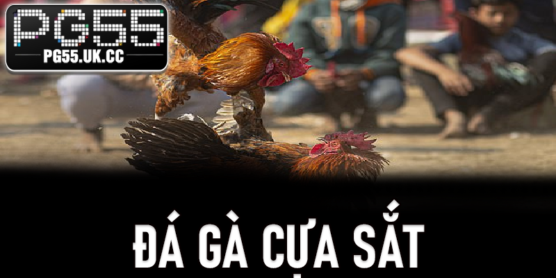 Đá Gà Cựa Sắt